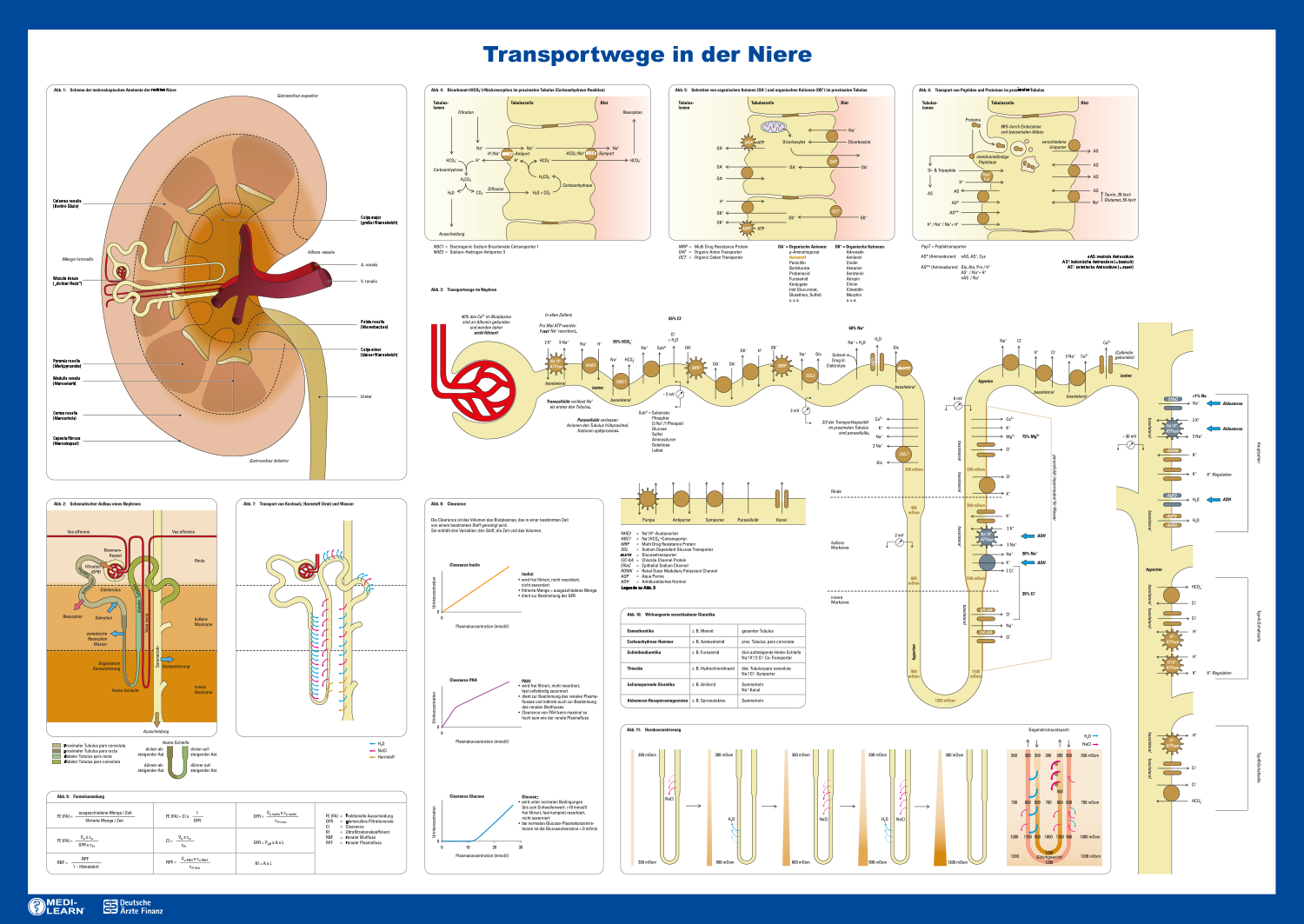 ISBN-10 ‏ : ‎ 3956581083 - Das Nephron Poster