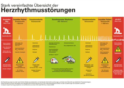 Lernposter Herz||rhythmus||störungen