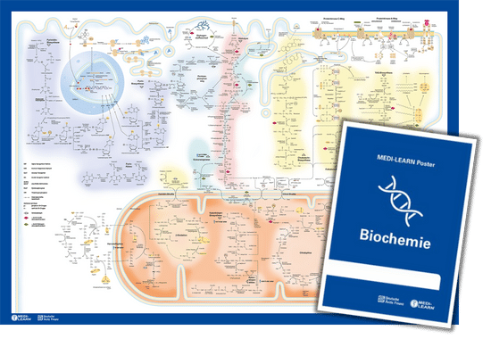 Biochemieposter kostenlos