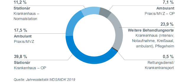 Behandlungsfehlervorwürfe auf Behandlungsorte 2019