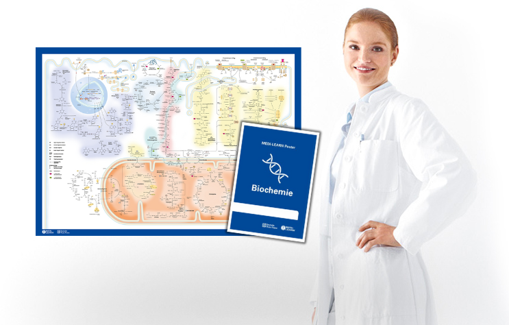 Biochemie Poster Deutsche Arzte Finanz